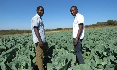 Sustainable Livelihoods